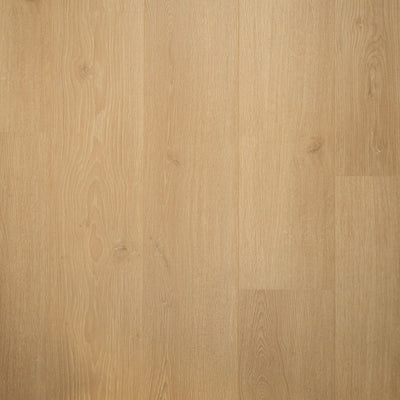 Brede Plank Kamille | Douwes Dekker | 2V-Groef