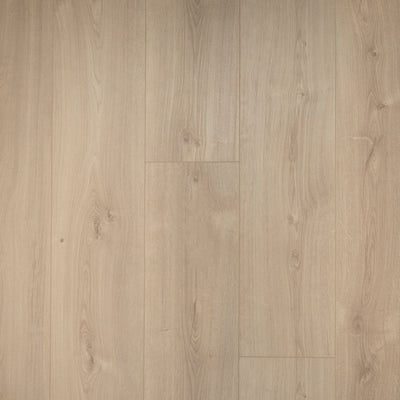 Douwes Dekker Jasmijn | Extra lange plank | 4V-Groef Laminaat