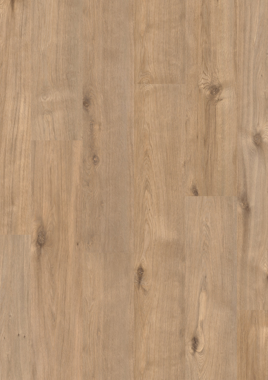 SAFFIER Estrada Hydro EST441H Boston Oak - 2V-Groef Laminaat