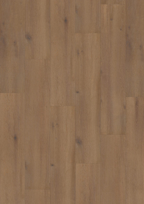 Hoomline Laminaat | Elite XL V4 | Waal 6079 | 4V-Groef