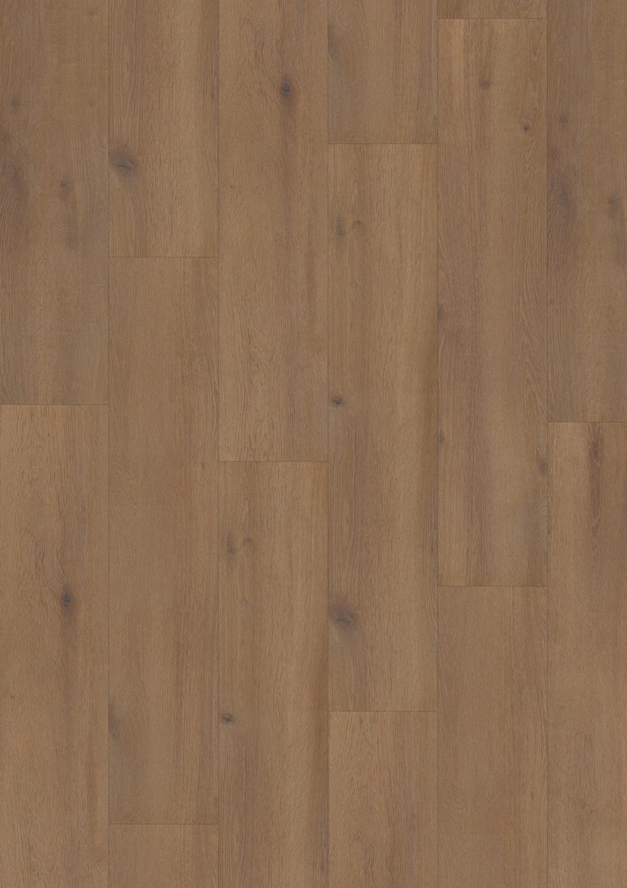 Hoomline Laminaat | Elite XL V4 | Waal 6079 | 4V-Groef