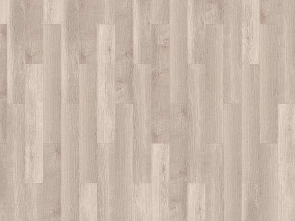 mFLOR 41810 Broad Leaf Light Sycamore | Dryback Plak PVC