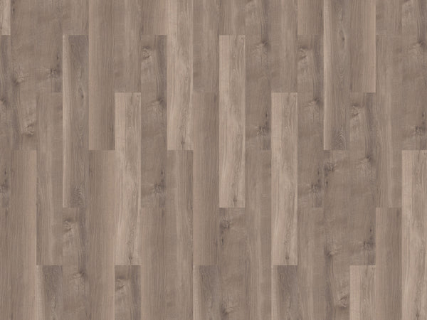 mFLOR 41817 Broad Leaf Smoky Sycamore | Dryback Plak PVC