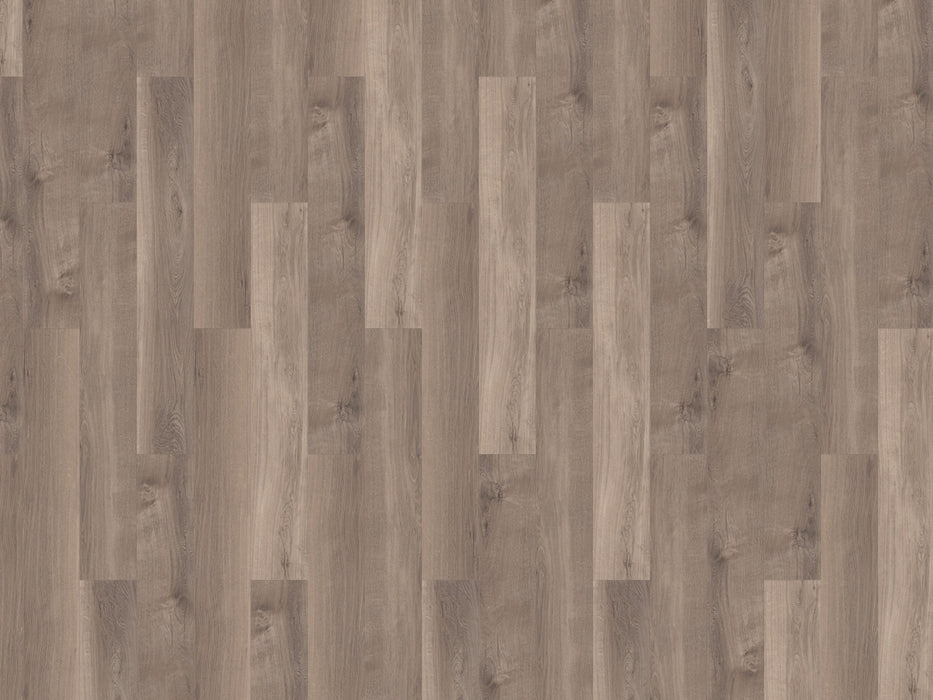 mFLOR 41817 Broad Leaf Smoky Sycamore | Dryback Plak PVC