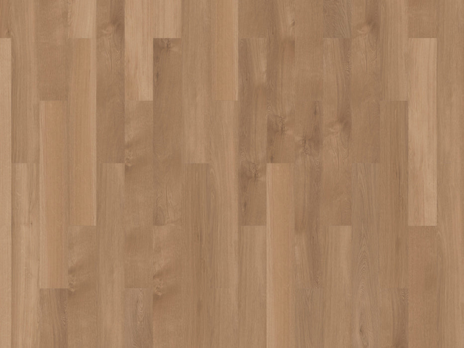 mFLOR 41822 Broad Leaf Pure Sycamore | Dryback Plak PVC