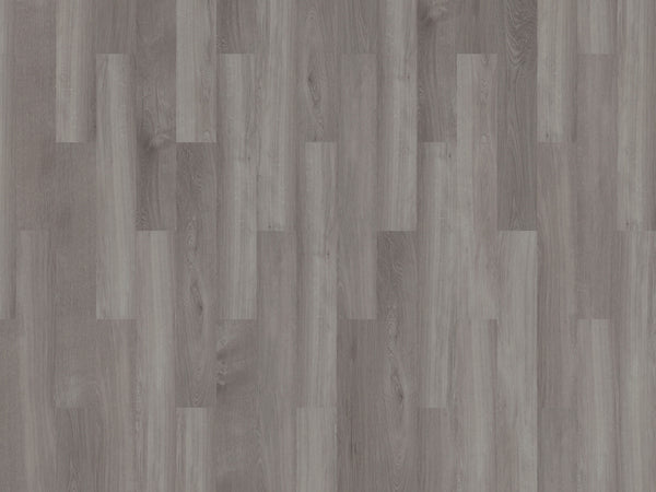 mFLOR 41828 Broad Leaf Grey Sycamore | Dryback Plak PVC