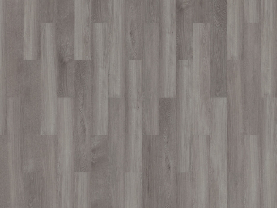 mFLOR 41828 Broad Leaf Grey Sycamore | Dryback Plak PVC