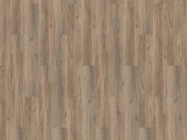 mFLOR 56313 Authentic Oak XL Calabria | Dryback Plak PVC