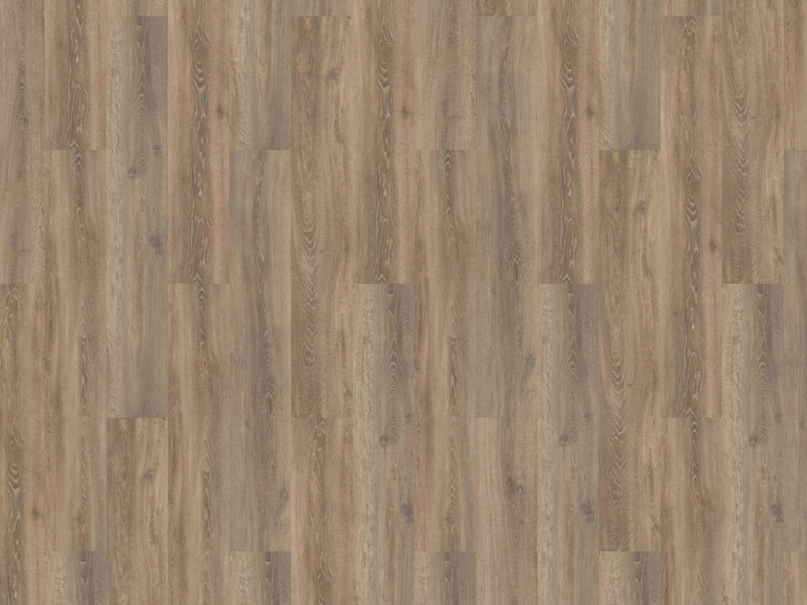 mFLOR 56313 Authentic Oak XL Calabria | Dryback Plak PVC