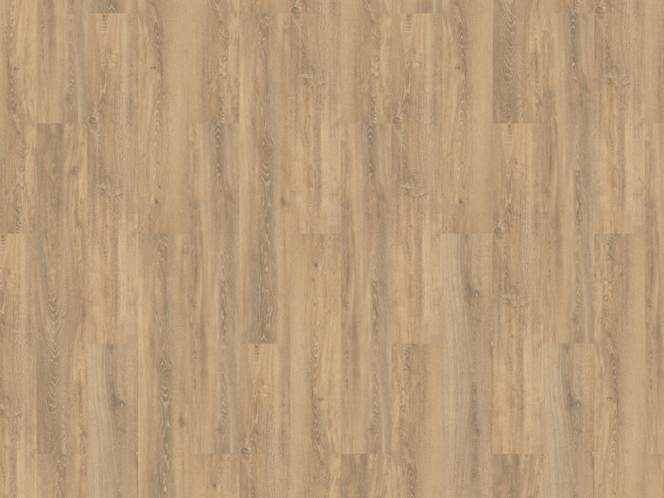 mFLOR 56314 Authentic Oak XL Piedmont | Dryback Plak PVC