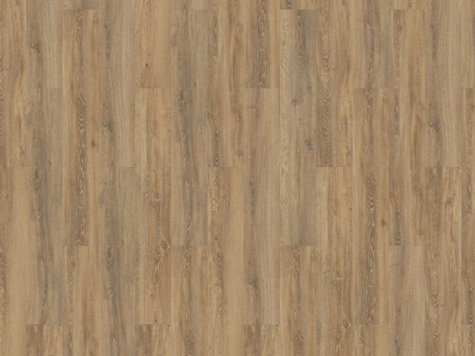 mFLOR 56315 Authentic Oak XL Apulia | Dryback Plak PVC