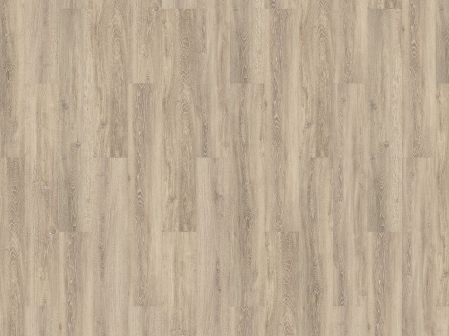 mFLOR 56319 Authentic Oak XL Sardinia | Dryback Plak PVC