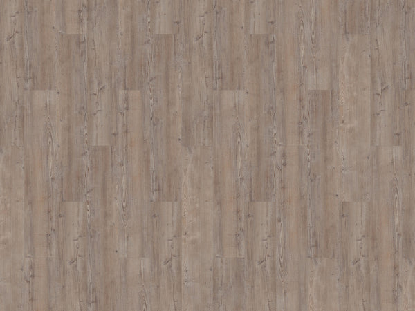 mFLOR 75110 Argyll Fir Greyfriars | Dryback Plak PVC