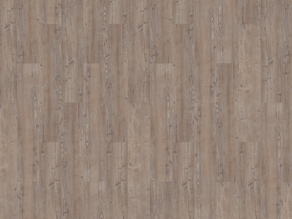 mFLOR 75110 Argyll Fir Greyfriars | Dryback Plak PVC