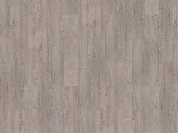 mFLOR 75112 Argyll Fir Warferry | Dryback Plak PVC
