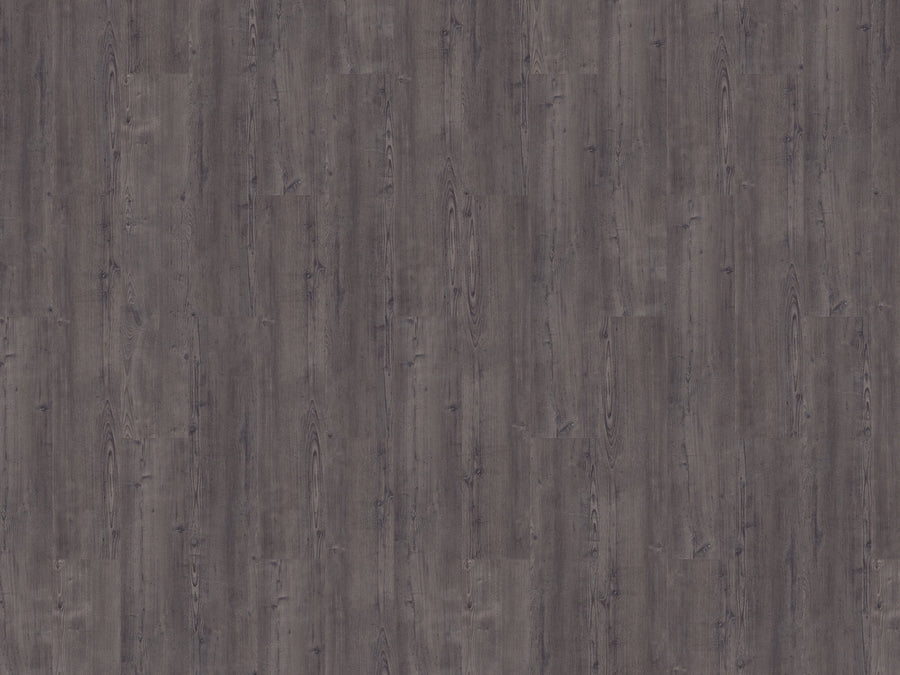mFLOR 75115 Argyll Fir Montrose | Dryback Plak PVC