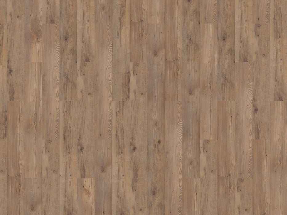 mFLOR 81011 Authentic Plank Mocha | Dryback Plak PVC