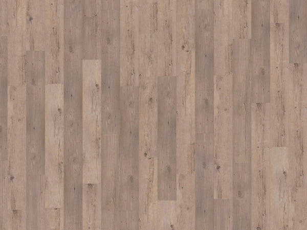 mFLOR 81031 Authentic Plank Ferne | Dryback Plak PVC