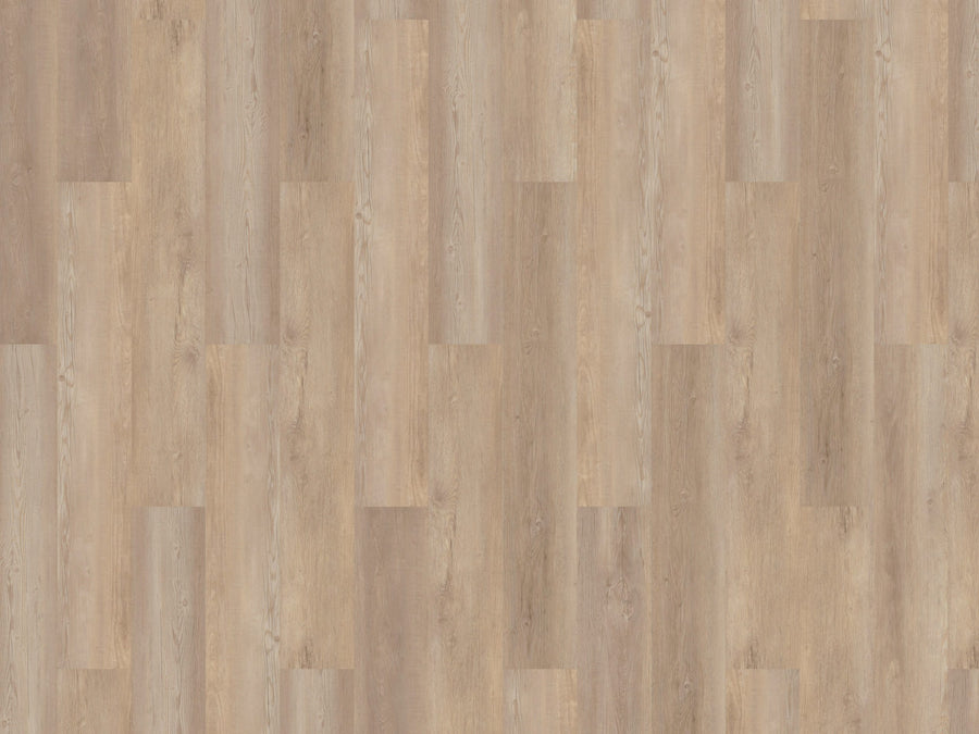 mFLOR 83315 Authentic Lake Grafham | Dryback Plak PVC
