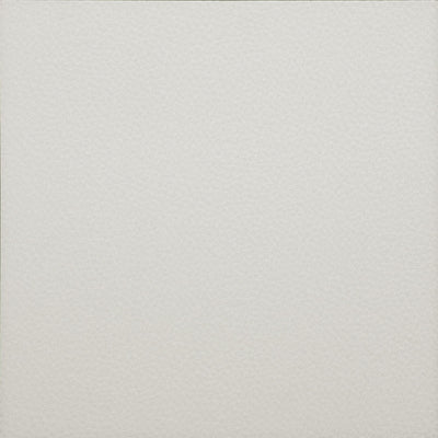 TFD Touch Leather LZ01 | Plak PVC Dryback