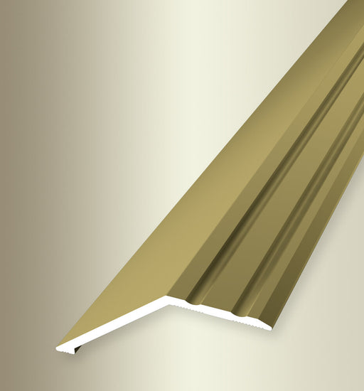 Overgangsprofiel 22 mm | Goud