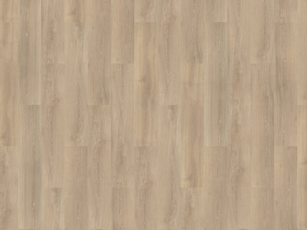 mFLOR River Oak 63014 Po | Dryback Lijm PVC