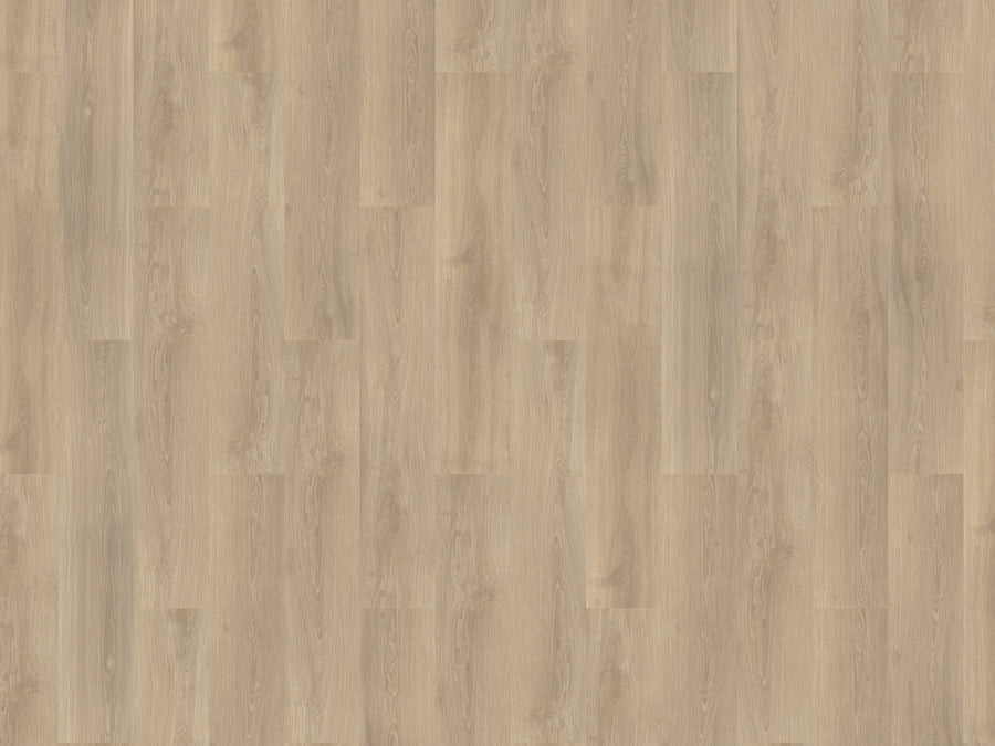 mFLOR River Oak 63014 Po | Dryback Lijm PVC
