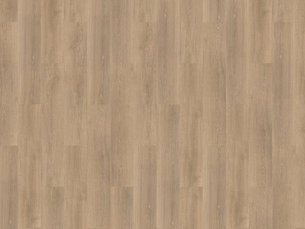 mFLOR River Oak 63019 Rhone | Dryback Lijm PVC