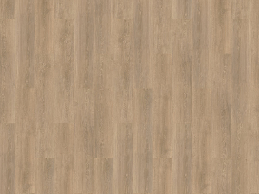 mFLOR River Oak 63019 Rhone | Dryback Lijm PVC