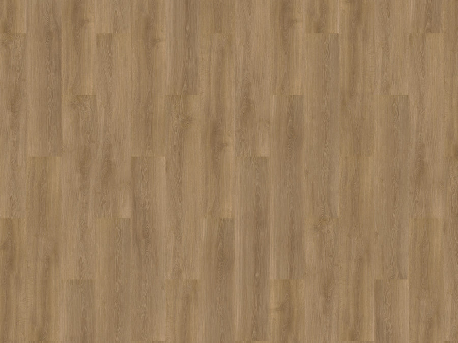 mFLOR River Oak 63022 Danube | Dryback Lijm PVC
