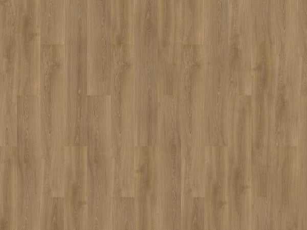 mFLOR River Oak XL 73022 Danube | Extra Large plank | Dryback Lijm PVC