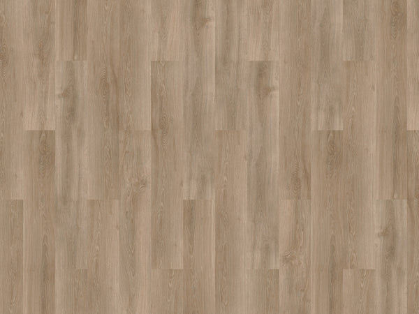 mFLOR River Oak XL 73025 Douro | Extra Large plank | Dryback Lijm PVC