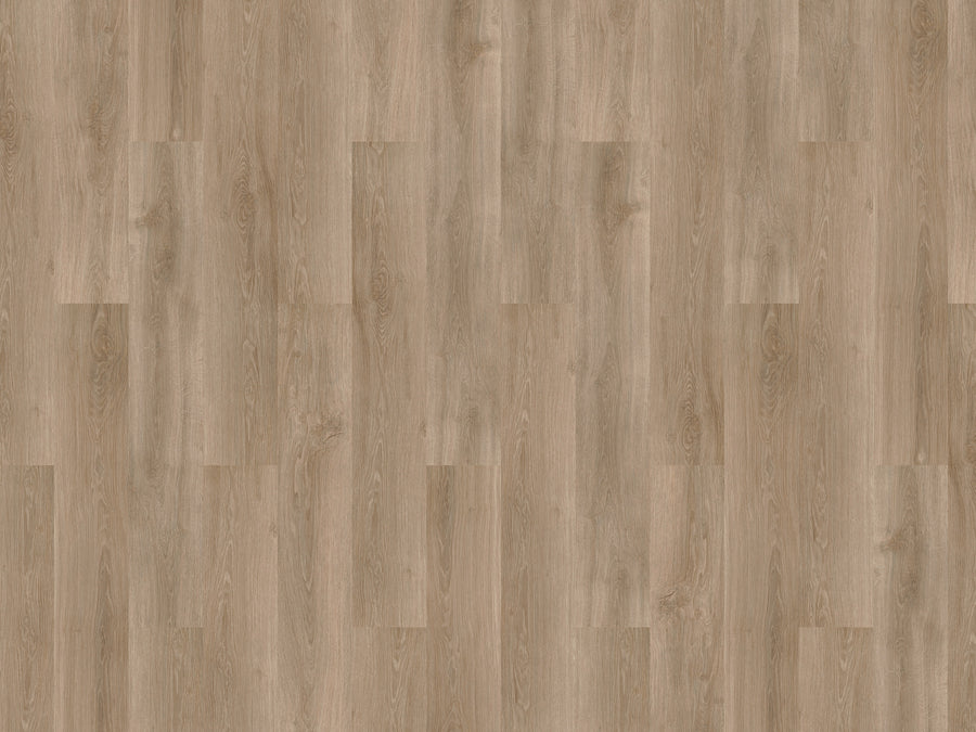 mFLOR River Oak XL 73025 Douro | Extra Large plank | Dryback Lijm PVC