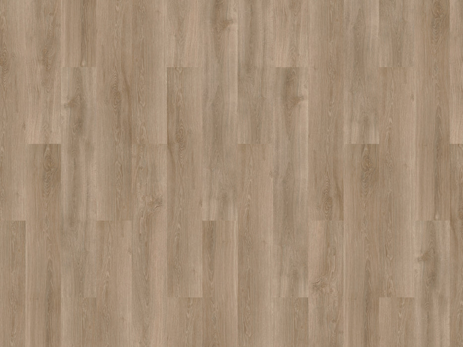 mFLOR River Oak XL 73025 Douro | Extra Large plank | Dryback Lijm PVC
