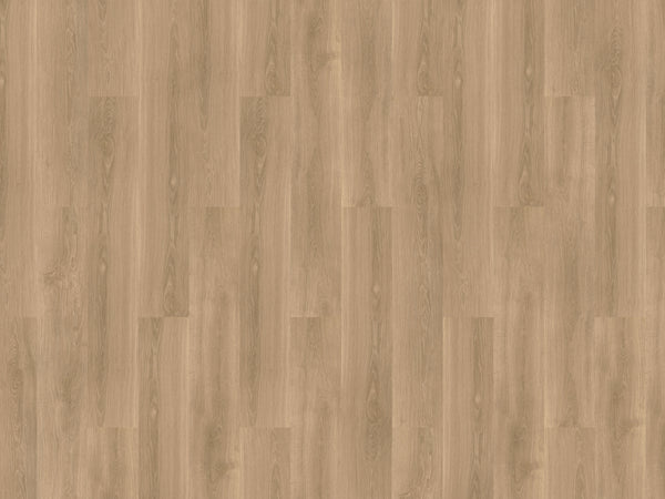 mFLOR River Oak XL 73029 Tarn | Extra Large plank | Dryback Lijm PVC