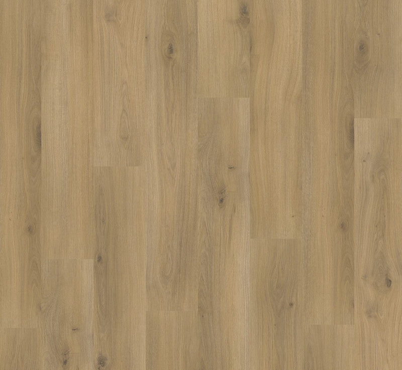 Staal van Parador Basic 400 | Eiken Horizont Natuur | Zonder V-Groef